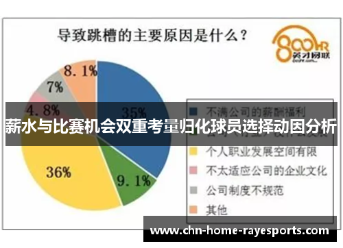 薪水与比赛机会双重考量归化球员选择动因分析 薪水与比赛机会双重考量归化球员选择动因分析