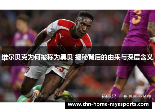 维尔贝克为何被称为黑贝 揭秘背后的由来与深层含义 维尔贝克为何被称为黑贝 揭秘背后的由来与深层含义