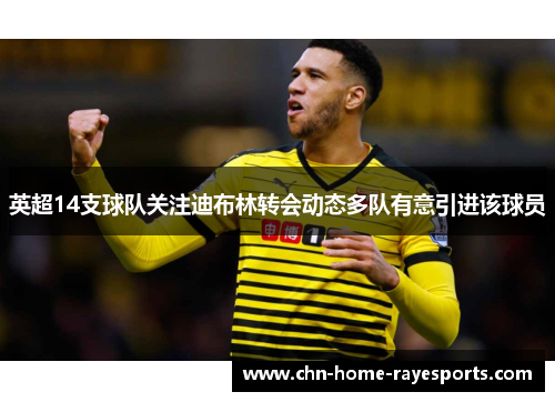 英超14支球队关注迪布林转会动态多队有意引进该球员