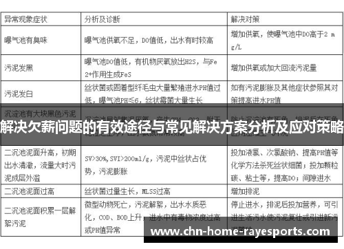 解决欠薪问题的有效途径与常见解决方案分析及应对策略