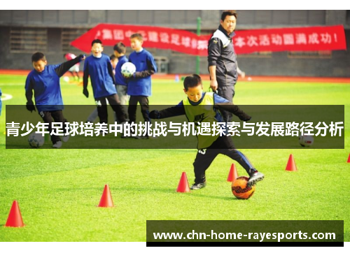 青少年足球培养中的挑战与机遇探索与发展路径分析