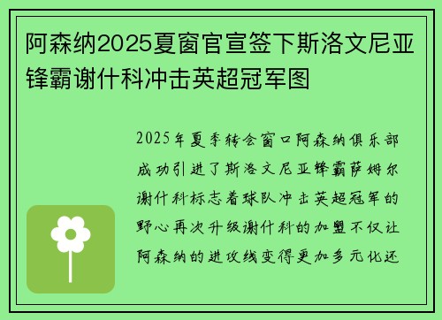阿森纳2025夏窗官宣签下斯洛文尼亚锋霸谢什科冲击英超冠军图